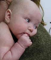 Forr�s: ORIGO