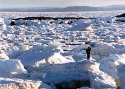 Forr�s: NSIDC
