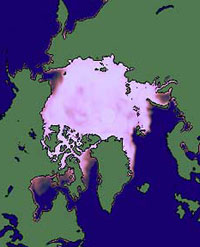 Forr�s: NSIDC