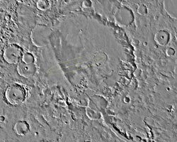 Forr�s: NASA