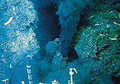 Forr�s: NOAA