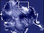 Forr�s: NASA