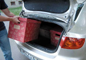 Forr�s: Aut�-Motor