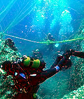 Forr�s: Divecenter