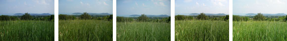 Forr�s: [origo]