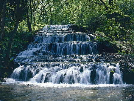 Forrás: nemzetipark.gov.hu