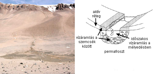 Forrás: Head et al. 2007, McKnight et al. 1999