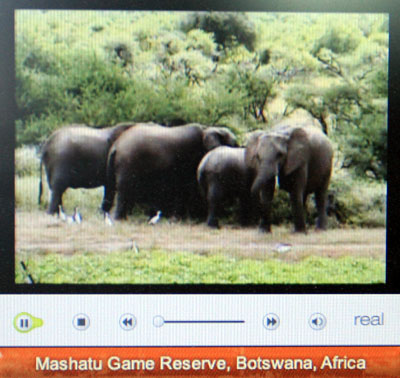 Forr�s: www.nationalgeographic.com