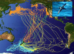 Forrás: PNAS/Steve Shunk/USGS