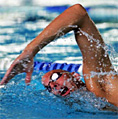 Forr�s: [origo]