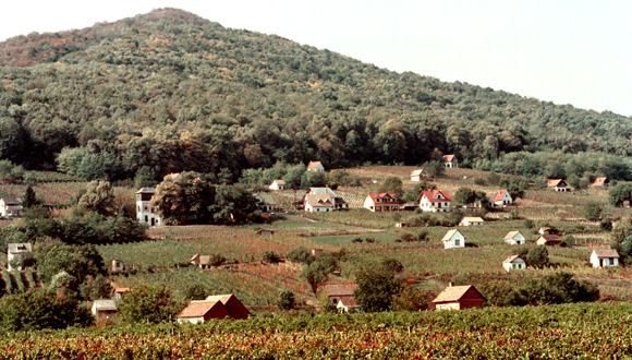 Forrás: MTI Forrás: MTI
