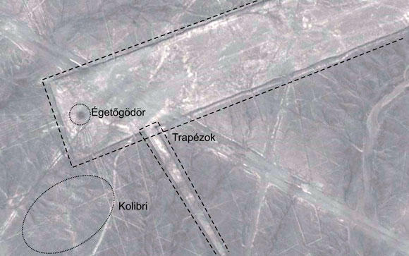 Forr�s: Google Earth