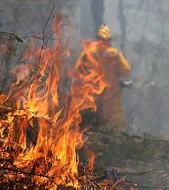 Forr�s: AFP