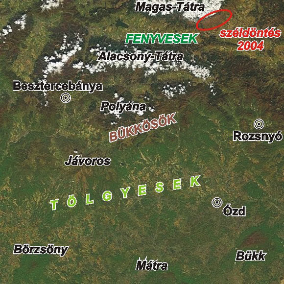 Forrás: ELTE