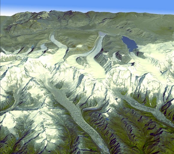 Forr�s: NASA