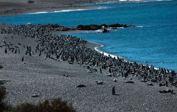 ForrA!s: IUCN/Jean-Christophe ViA© ForrA!s: IUCN/Jean-Christophe ViA©