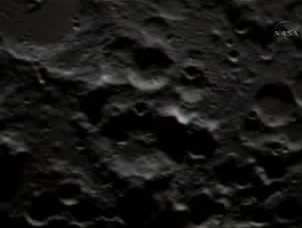 Forr�s: NASA