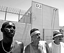 Forr�s: Northfoto/ZUMA/Mark Allen Johnson
