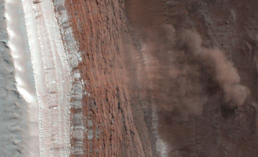 Forr�s: NASA