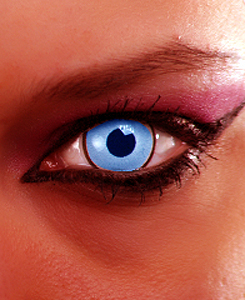 Forr�s: iStockPhoto