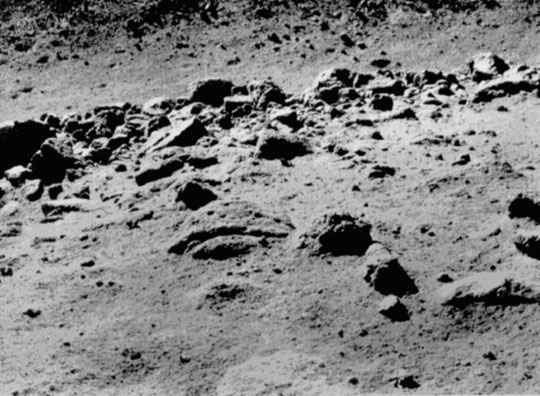 Forr�s: NASA