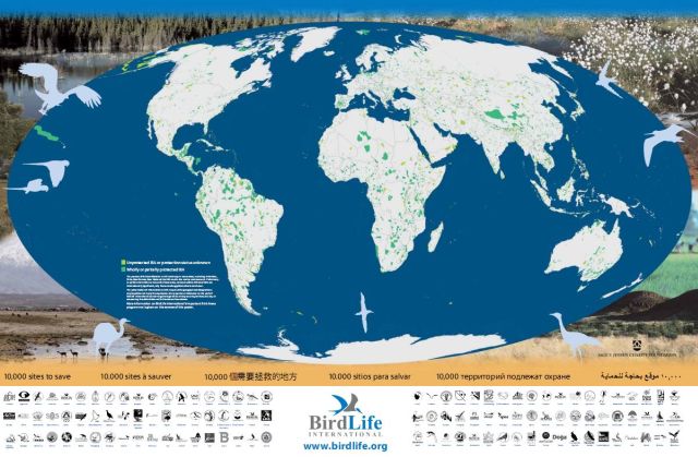 Forr�s: BirdLife International