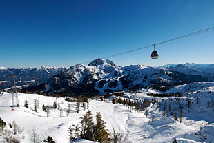 Forr�s: Flickr