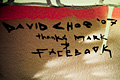 Forr�s: Flickr.com