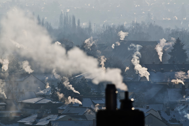 Forr�s: AFP/Armin Weigel