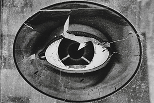 Fot�: Nathan Lerner